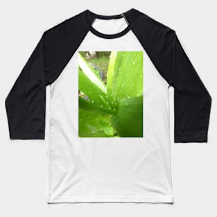 Aloe vera Baseball T-Shirt